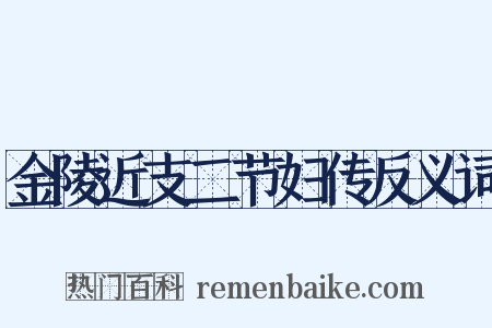 金陵近支二节妇传反义词是什么意思的图片